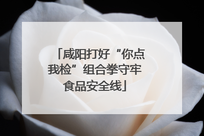 咸阳打好“你点我检”组合拳守牢食品安全线