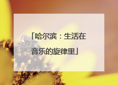 哈尔滨：生活在音乐的旋律里