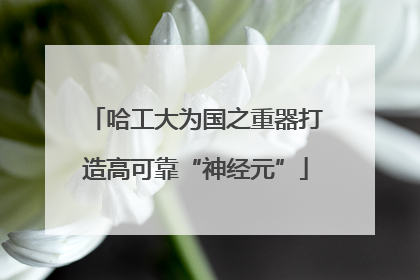 哈工大为国之重器打造高可靠“神经元”