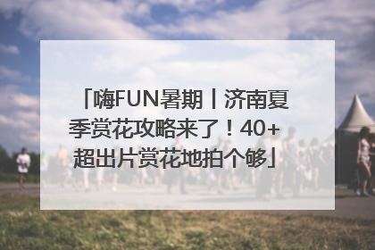 嗨FUN暑期丨济南夏季赏花攻略来了！40+超出片赏花地拍个够