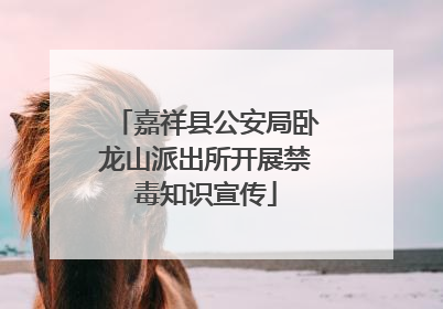 嘉祥县公安局卧龙山派出所开展禁毒知识宣传