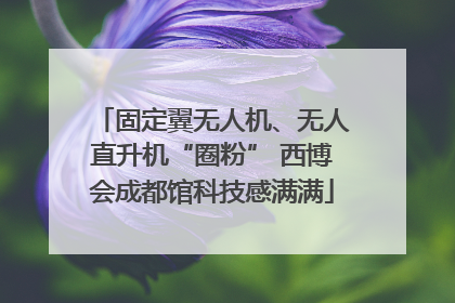 固定翼无人机、无人直升机“圈粉” 西博会成都馆科技感满满