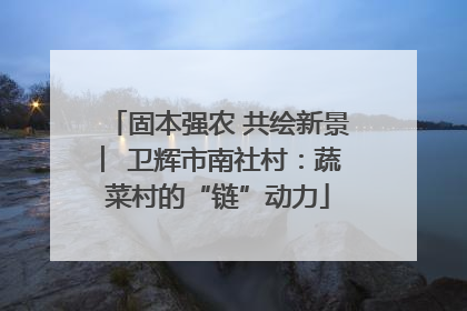 固本强农 共绘新景 ︳卫辉市南社村：蔬菜村的“链”动力