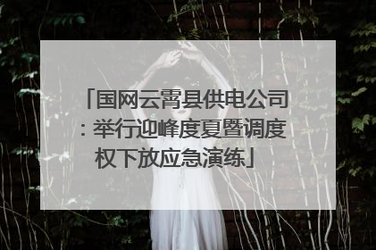 国网云霄县供电公司：举行迎峰度夏暨调度权下放应急演练
