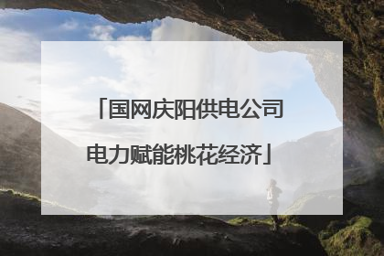 国网庆阳供电公司电力赋能桃花经济