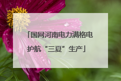 国网河南电力满格电护航“三夏”生产
