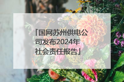 国网苏州供电公司发布2024年社会责任报告