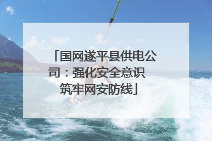 国网遂平县供电公司：强化安全意识 筑牢网安防线