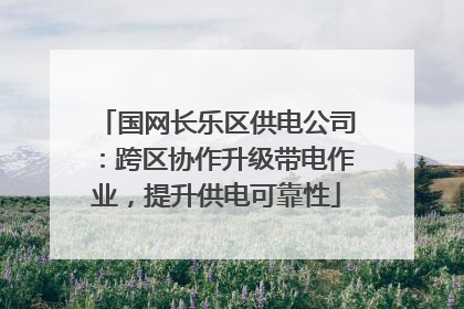 国网长乐区供电公司：跨区协作升级带电作业，提升供电可靠性