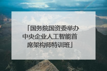 国务院国资委举办中央企业人工智能首席架构师特训班