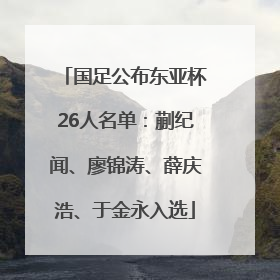 国足公布东亚杯26人名单：蒯纪闻、廖锦涛、薛庆浩、于金永入选