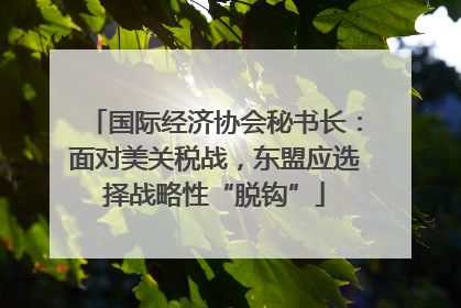 国际经济协会秘书长：面对美关税战，东盟应选择战略性“脱钩”