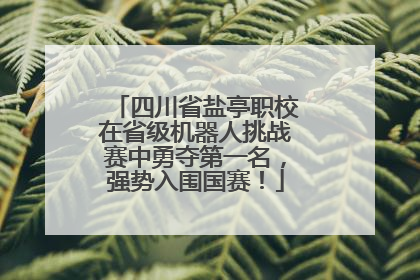 四川省盐亭职校在省级机器人挑战赛中勇夺第一名，强势入围国赛！