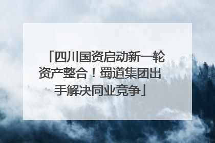 四川国资启动新一轮资产整合！蜀道集团出手解决同业竞争