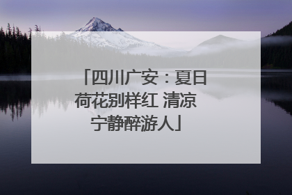 四川广安：夏日荷花别样红 清凉宁静醉游人