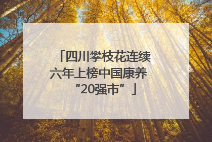 四川攀枝花连续六年上榜中国康养“20强市”