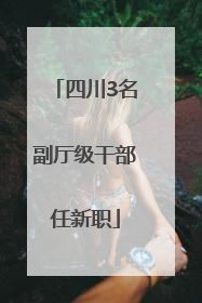 四川3名副厅级干部任新职
