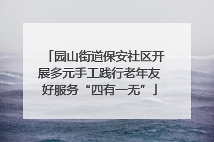 园山街道保安社区开展多元手工践行老年友好服务“四有一无”
