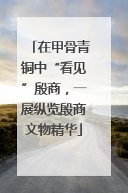 在甲骨青铜中“看见”殷商，一展纵览殷商文物精华
