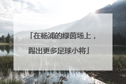 在杨浦的绿茵场上，踢出更多足球小将