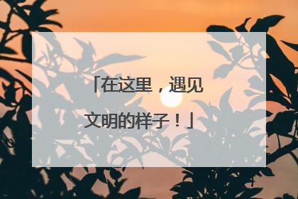 在这里，遇见文明的样子！