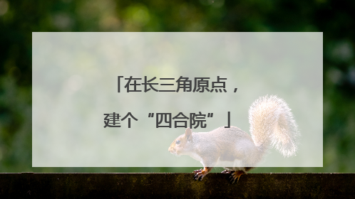 在长三角原点，建个“四合院”