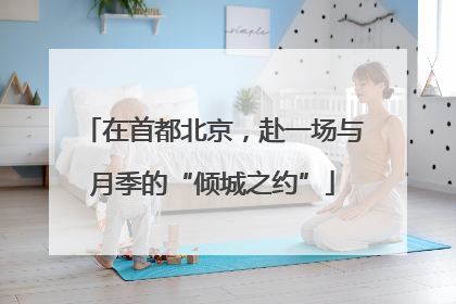 在首都北京，赴一场与月季的“倾城之约”