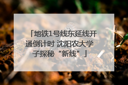 地铁1号线东延线开通倒计时 沈阳农大学子探秘“新线”