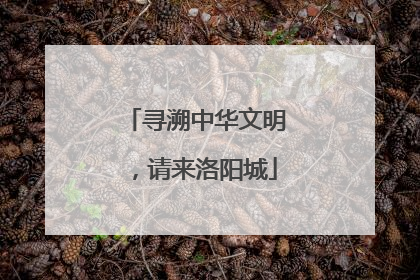 寻溯中华文明，请来洛阳城