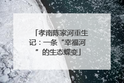 孝南陈家河重生记：一条“幸福河”的生态蝶变