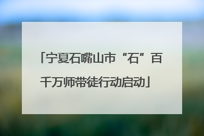 宁夏石嘴山市“石”百千万师带徒行动启动