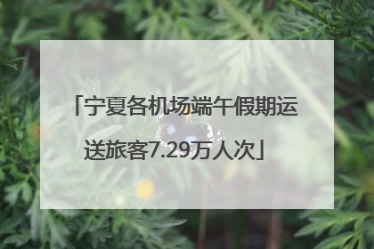 宁夏各机场端午假期运送旅客7.29万人次