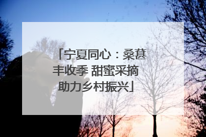 宁夏同心：桑葚丰收季 甜蜜采摘助力乡村振兴