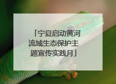 宁夏启动黄河流域生态保护主题宣传实践月
