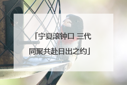 宁夏滚钟口 三代同聚共赴日出之约