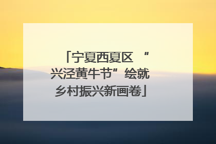 宁夏西夏区 “兴泾黄牛节”绘就乡村振兴新画卷