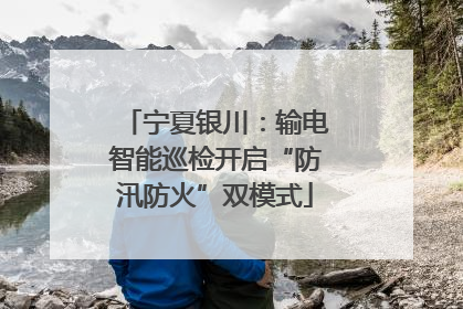 宁夏银川：输电智能巡检开启“防汛防火”双模式