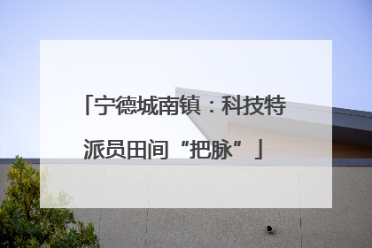 宁德城南镇：科技特派员田间“把脉”