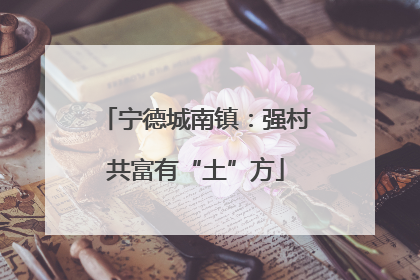 宁德城南镇：强村共富有“土”方