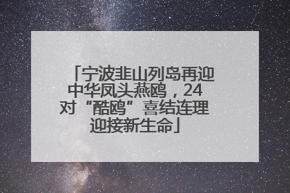 宁波韭山列岛再迎中华凤头燕鸥，24对“酷鸥”喜结连理迎接新生命