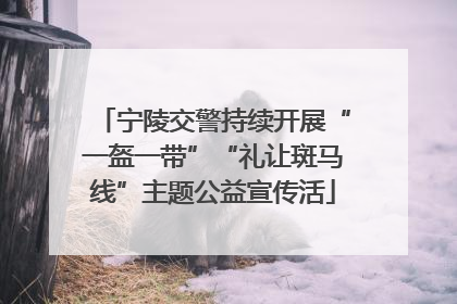 宁陵交警持续开展“一盔一带”“礼让斑马线”主题公益宣传活