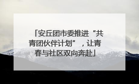 安丘团市委推进“共青团伙伴计划”，让青春与社区双向奔赴