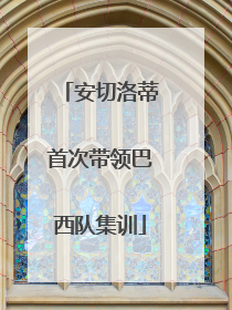 安切洛蒂首次带领巴西队集训