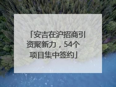 安吉在沪招商引资聚新力，54个项目集中签约