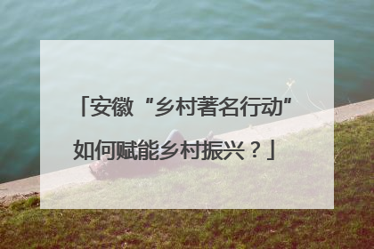 安徽“乡村著名行动”如何赋能乡村振兴？