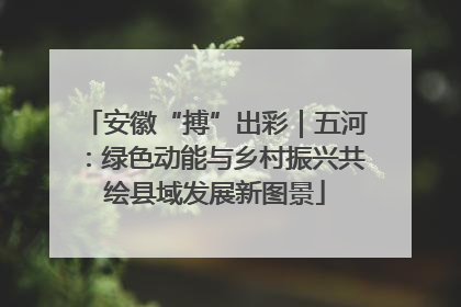 安徽“搏”出彩｜五河：绿色动能与乡村振兴共绘县域发展新图景