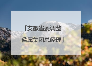 安徽省委调整一省属集团总经理