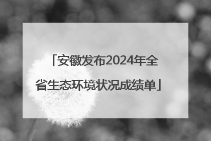 安徽发布2024年全省生态环境状况成绩单