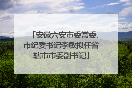 安徽六安市委常委、市纪委书记李敏拟任省辖市市委副书记