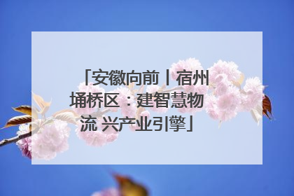 安徽向前丨宿州埇桥区：建智慧物流 兴产业引擎